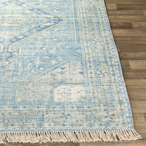 Surya Zainab ZAI-2304 Aqua Area Rug - Image 2