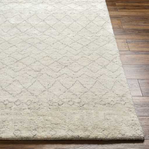 Surya Zara ZAR-2306 Gray Area Rug - Image 3