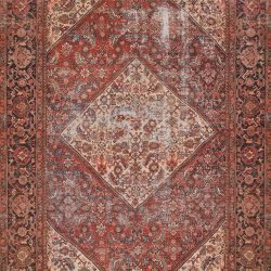 Momeni Afshar AFS44 Red Area Rug