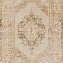 Momeni Chandler CHN-9 Beige Area Rug