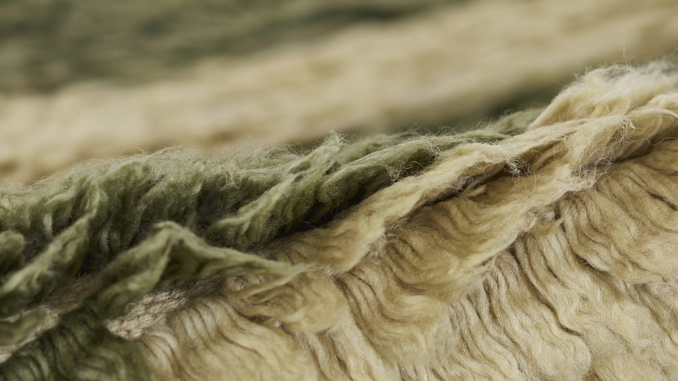 Momeni Neo NEM-1 Green Area Rug - Image 4