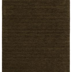 Oriental Weavers ANISTON II 27117 Brown Area Rug