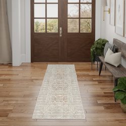 Nourison Desire DSR07 Ivory Beige Area Rug