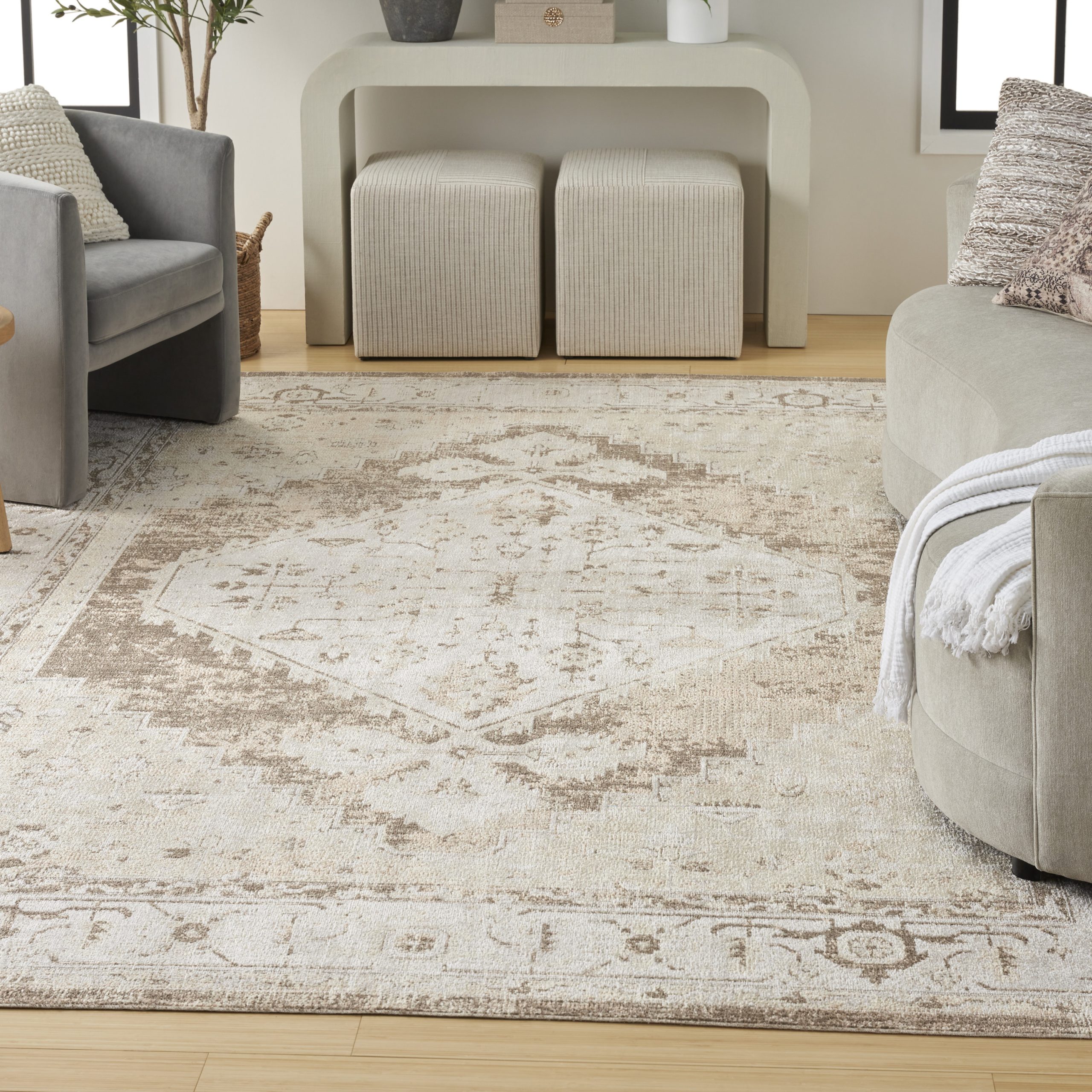 Nourison Astra Machine Washable ASW11 Beige Area Rug