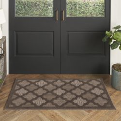 Nourison Easy Care NES01 Brown Area Rug