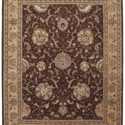 Nourison Nourison 2000 2206 Brown Area Rug