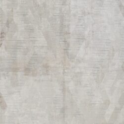 Momeni Paxton PXT-1 Grey Area Rug