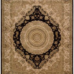 Nourison Nourison 2000 2233 Black Area Rug