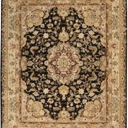 Nourison Nourison 2000 2028 Black Area Rug