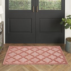 Nourison Easy Care NES01 Coral Area Rug