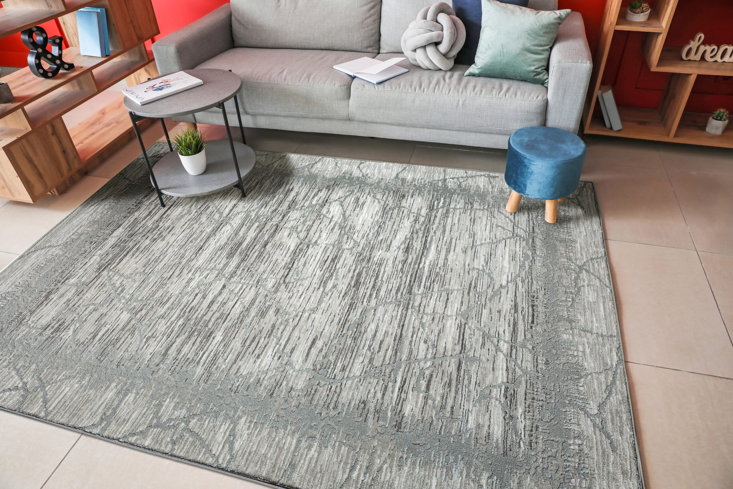 Radici USA Davide 1229/101 GREY Area Rug - Image 2