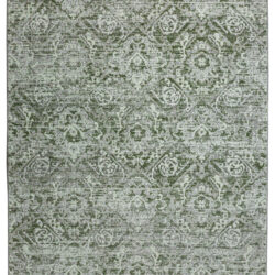 Radici USA Livigno 1244/103 GREEN Area Rug