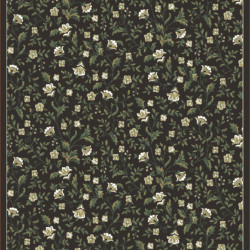 Radici USA Pisa 6674/001 BROWN Area Rug