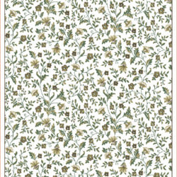 Radici USA Pisa 6674/002 BONE Area Rug