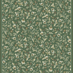 Radici USA Pisa 6674/004 LIGHT GREEN Area Rug