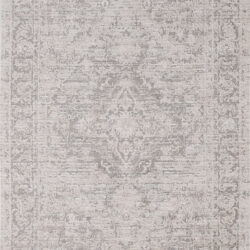 Dynamic Aimon 16657-919 Light Grey/grey Area Rug