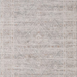 Dynamic Aimon 16658-798 Rust/grey/beige Area Rug