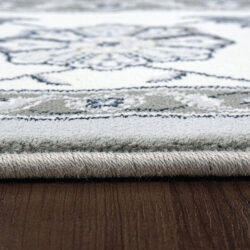 Alternative view of Dynamic Ancient Garden 57365-9666 Grey/cream Area Rug
