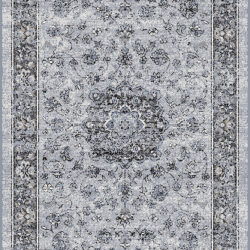Dynamic Ancient Garden 57559-9656 Silver/grey Area Rug