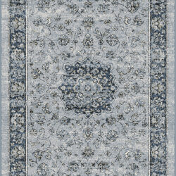 Dynamic Ancient Garden 57559-9686 Silver/blue Area Rug