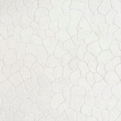 Dynamic Aria 8551-100 Ivory Area Rug