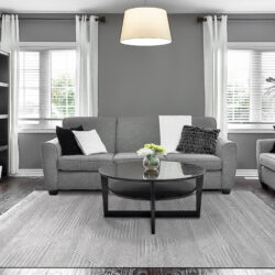 Alternative view of Dynamic Arten 3753-119 Cream/grey Area Rug