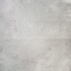 Dynamic Atlas 2584-890 Beige/grey Area Rug