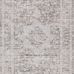 Dynamic Bliss 17580-890 Beige/grey Area Rug