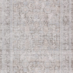 Dynamic Bliss 17587-890 Beige/grey Area Rug
