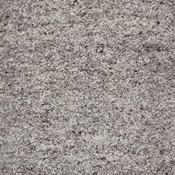 Dynamic Bombay 9584-800 Taupe Area Rug