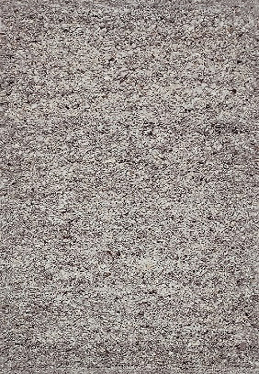 Dynamic Bombay 9584-800 Taupe Area Rug