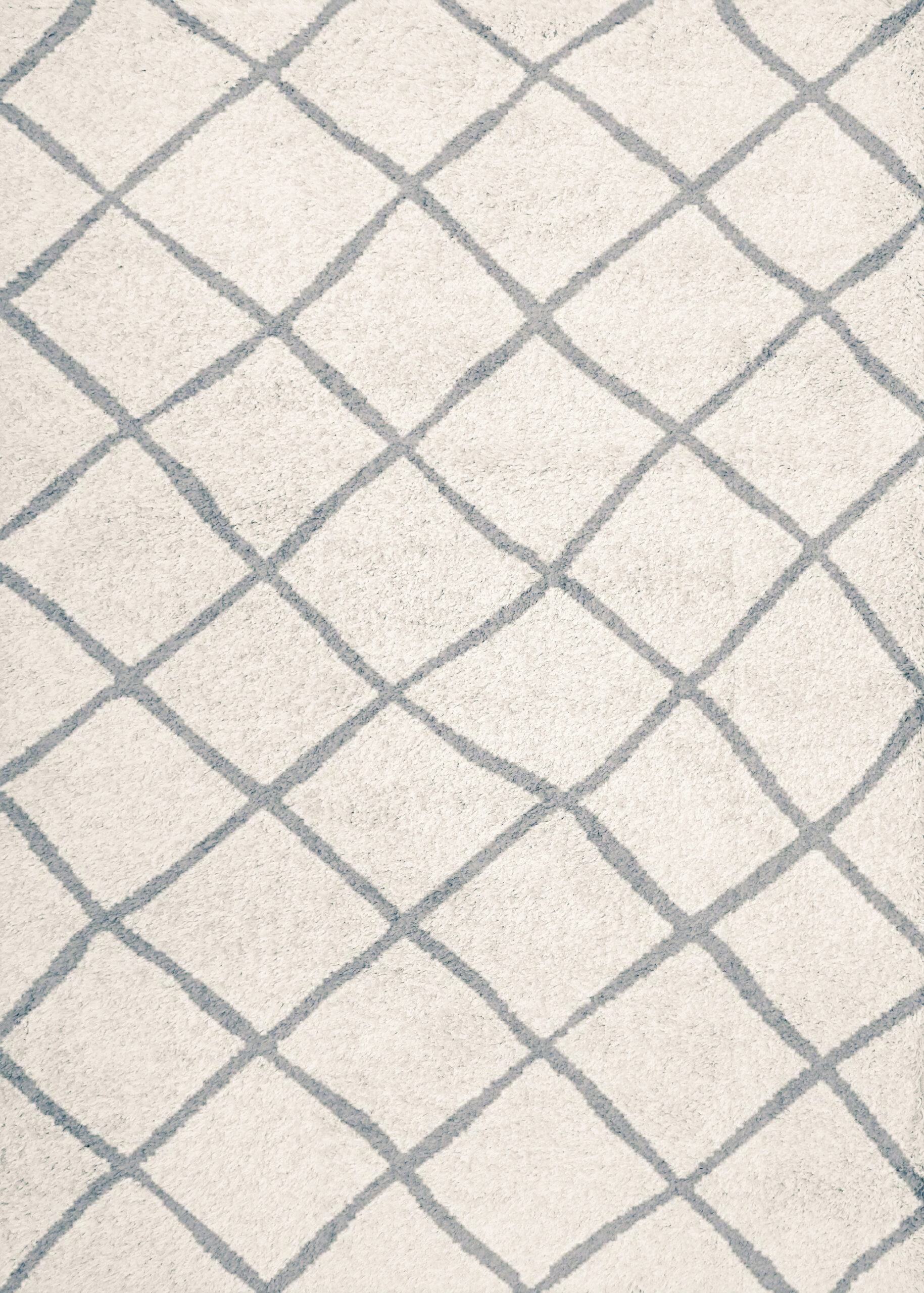Dynamic Callie 4972-109 Ivory/grey Area Rug