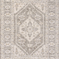 Dynamic Calypso 13501-190 Ivory/grey Area Rug