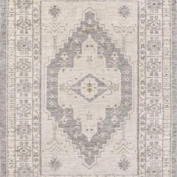 Dynamic Calypso 13506-190 Ivory/grey Area Rug