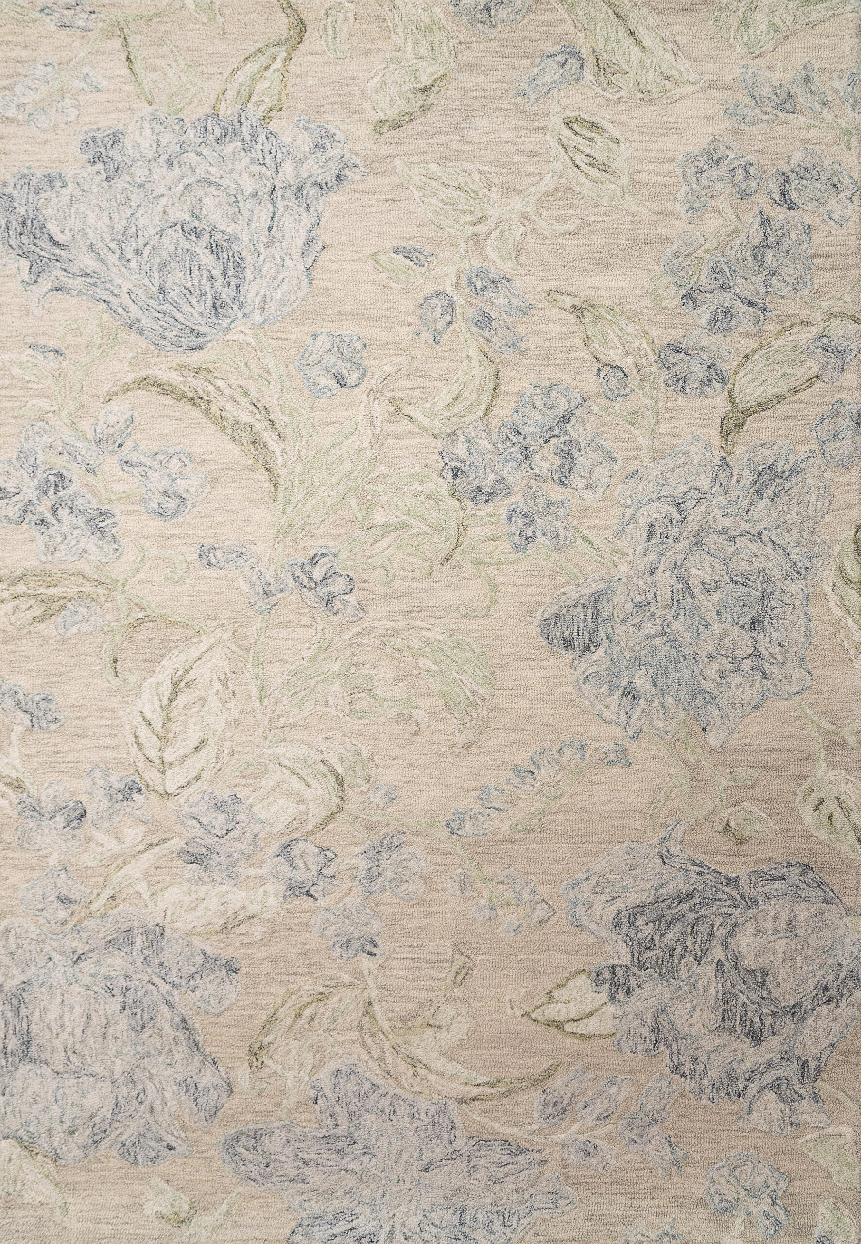 Dynamic Daisy 9096-845 Beige/sage/blue Area Rug
