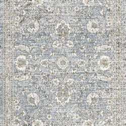 Dynamic Dharma 12040-580 Light Blue/beige Area Rug