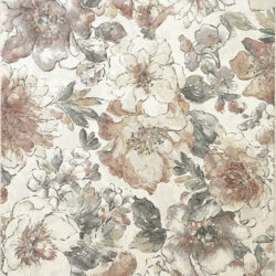 Dynamic Eclipse 63528-6747 Cream/multi Area Rug