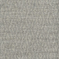 Dynamic Grove 6213-900 Mix Grey Area Rug