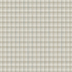 Dynamic Harmony 59005-8575 Beige/grey Area Rug