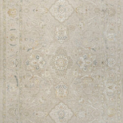 Dynamic Hudson 1450-800 Beige Area Rug