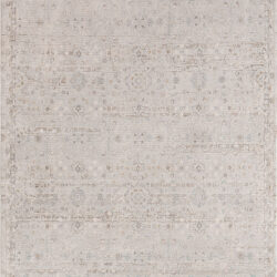 Dynamic Irving 15556-918 Light Grey/beige Area Rug