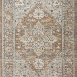 Dynamic Kashmir 18862-689 Rust/beige/multi Area Rug