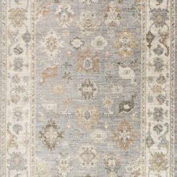 Dynamic Kashmir 18869-919 Grey/cream/multi Area Rug