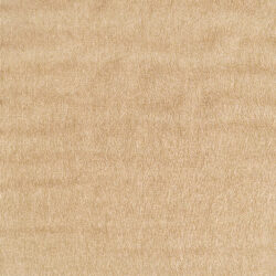 Dynamic Kenai 8770-800 Natural Area Rug