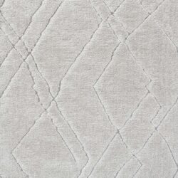 Dynamic Masai 14005-2181 Beige Area Rug