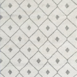 Dynamic Mehari 23275-6252 Ivory/grey Area Rug