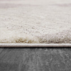 Alternative view of Dynamic Monroe 9812-190 Ivory/grey Area Rug
