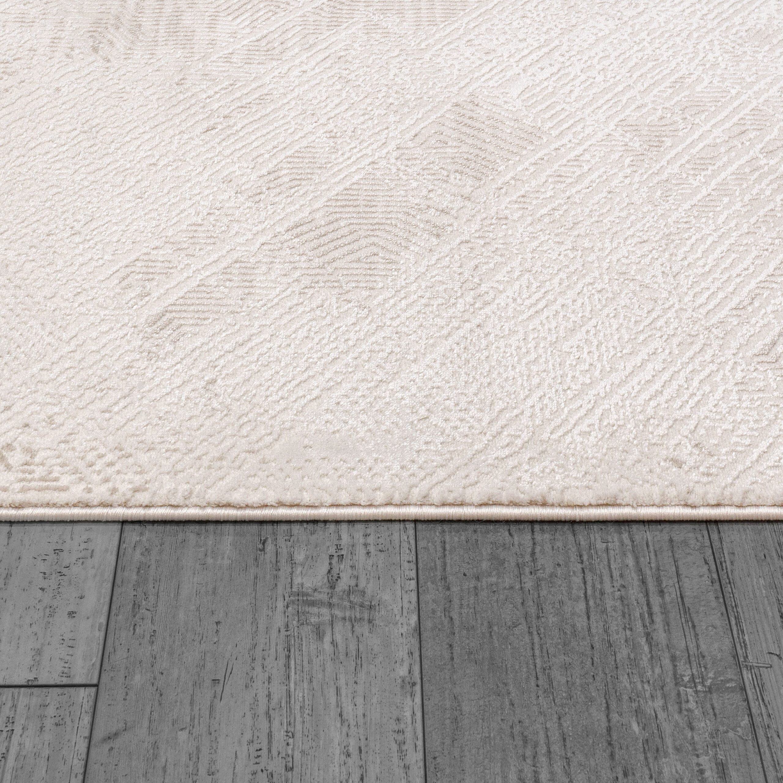 Dynamic Montrose 1781-180 Cream/beige Area Rug - Image 2