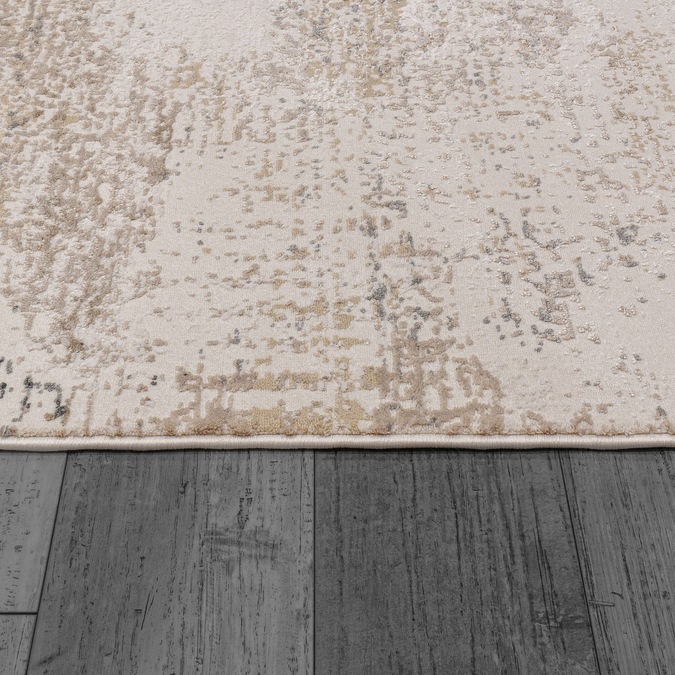 Dynamic Montrose 1782-180 Cream/beige Area Rug - Image 2