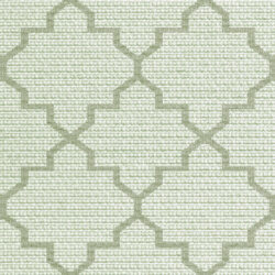 Dynamic Newport 96003-4001 Green Area Rug